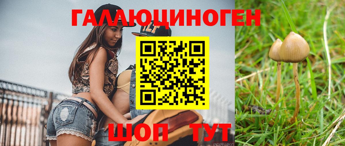 Хабаровск  Псилоцибиновые грибы GOLDEN TEACHER  Галлюциногенные грибы Cubensis  Вход с VPN 