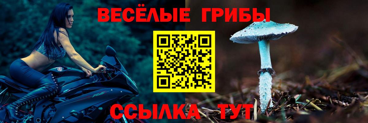 Галлюциногенные грибы мицелий Хабаровск